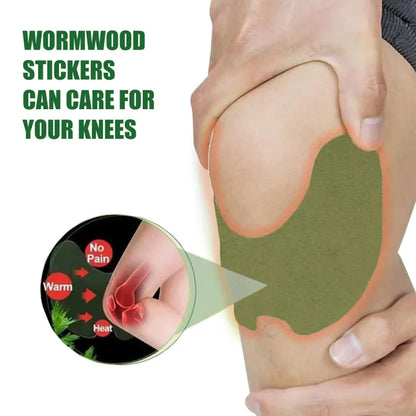 EELHOE Knee Relief Patches Kit ( BUY 1 GET 1 FREE )